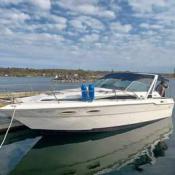 Picture of 1989 300 Sea Ray Sundancer