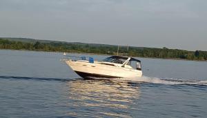 Picture of 1989 300 Sea Ray Sundancer
