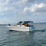 Picture of 1989 300 Sea Ray Sundancer